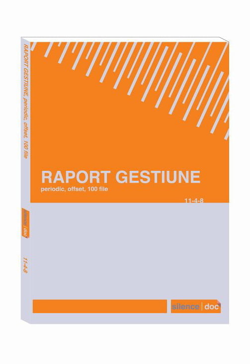 raport gestiune periodic