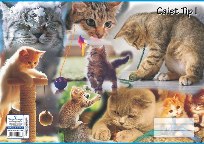 caiet tip 1